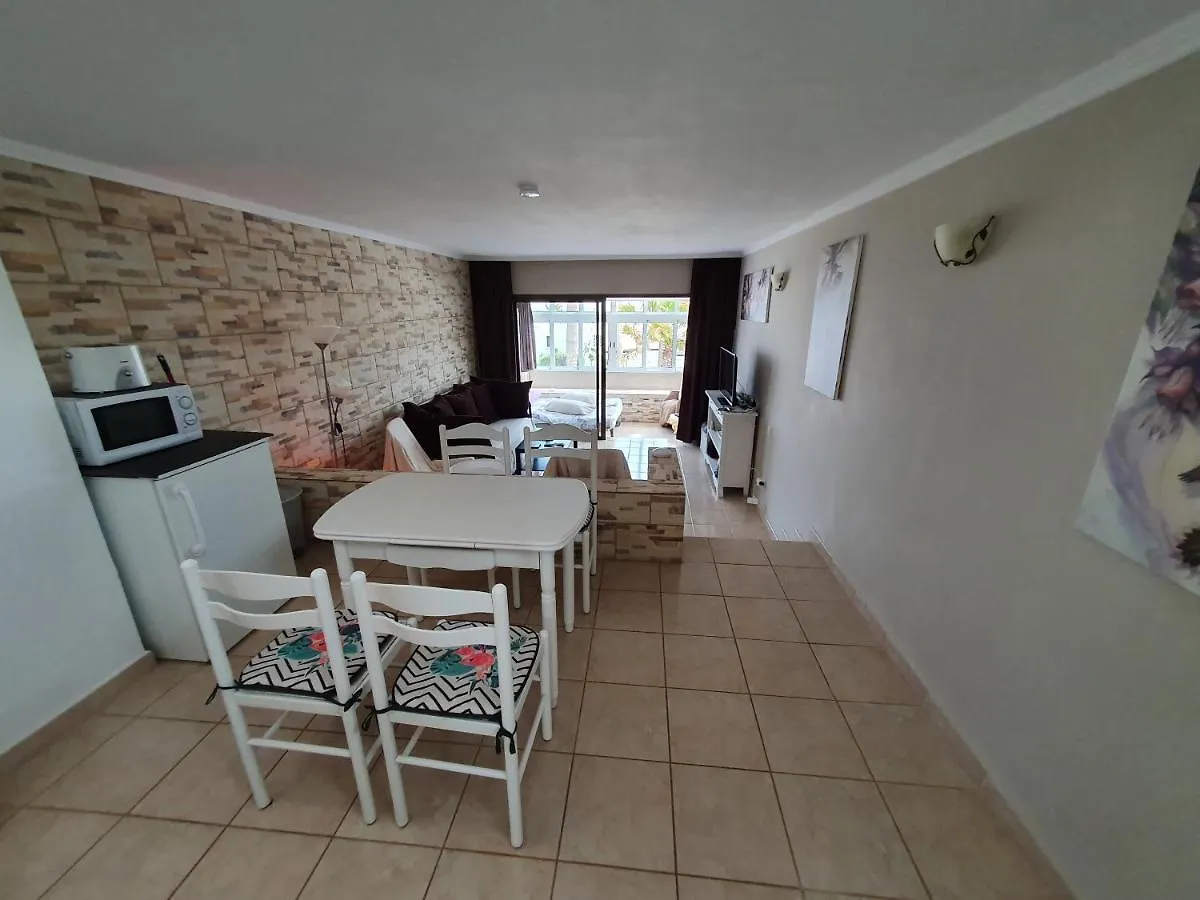 La Luz Del Sol Benita Apartment Poris de Abona 0*,  Spain